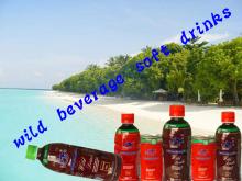 concertrate jujube fruit juice-tonic the blood