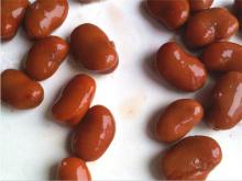 Canned Broad Bean for 397g/227g