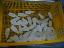 SQUIDS TUBE CLEANED FROM VIETNAM