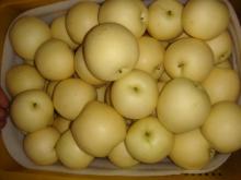 crown pear