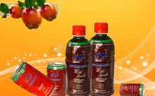Canned wild jujube fruit juice & beverage-low fat