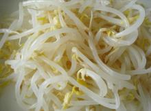Bean Sprout 15OZ/100OZ