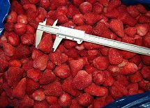 IQF  Strawberry
