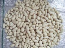 Blanched Peanut Kernels