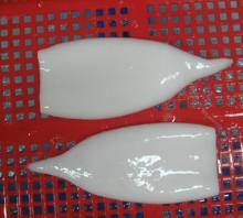  IQF   Squid  Tube Todarodes Pacificus