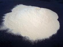 best rice protein powder