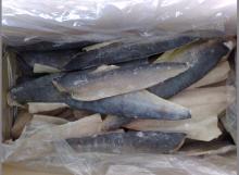 mahi mahi fillets