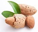 ALMON NUTS