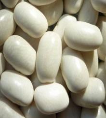 white beans, japanese /medium/bashake type
