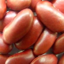 Britishi / Dark Red Kidney Bean,2012 crop