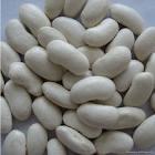 High quality White Lima beans