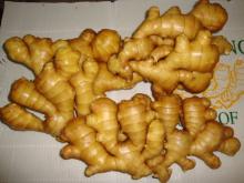 offer good fresh ginger  export  to  Canada 