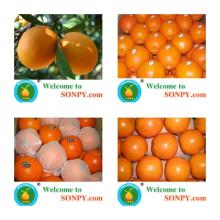 fresh navel orange,fresh fruits,fruit juice