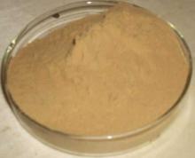 Hops Extract /ISO9001,Kosher,Organic certificated