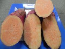 SWEET POTATO