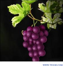  Grape   Seed   Extract 