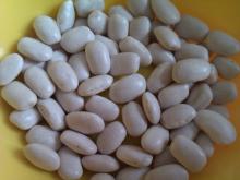  Organic   White   Beans 