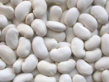 2011 New Crop White Kidney Beans(Japanese Type)