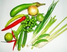 fresh vegetable