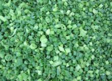  Frozen   Green   Onion  Cut