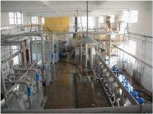 Potatos Starch Production Line
