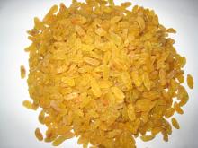 Turpan Golden Raisin,seedless raisin