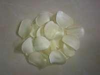 White  garlic   cracker 