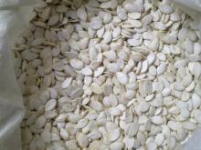 Pumpkin Seeds