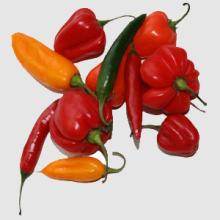 Red Chillies,,