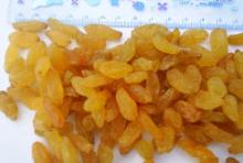 Golden Raisins