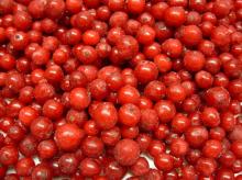 Red Currants