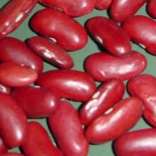 Dark Red Kidney Beans(British type)