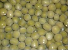 canned greed beans