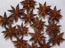 Star aniseed in Autumn