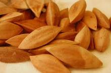 Pili Nuts