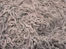 boiled pork small intestine and offal