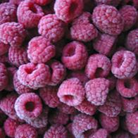IQF Raspberry