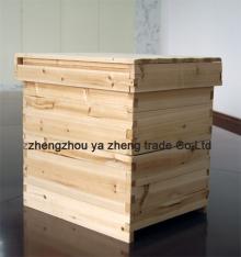  Bee  hive