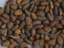  cedar   nuts 