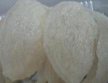 Best Quality Bird Nest