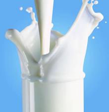 Milk Powder 25kg Bag