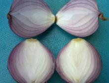 Fresh Red Onion