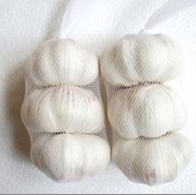  Shandong   Fresh   Garlic 
