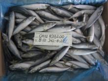 100-150g frozen mackerel