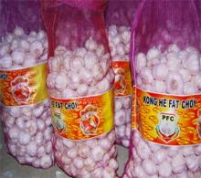 Chinese Fresh Pure white  garlic  in  bag 