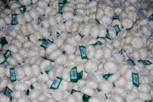 Pure White Garlic Packed in white mesh bag