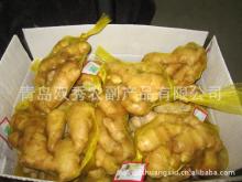 all kinds of different  specification  of  ginger 