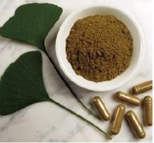 Ginkgo biloba leaf/powder/Extracts