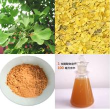 ginkgo leaf extract