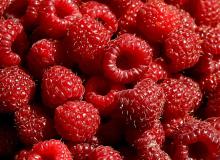 Raspberry Extract